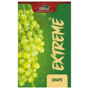 Extreme Herbal Grape Hookah Flavour 50gm